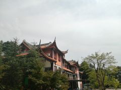 -铁山坪森林公园