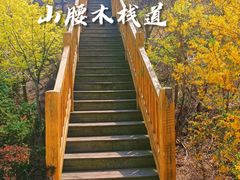 -南山健身公园