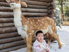 -HERRE·FARM 赫尔露营农场·团建聚会包场