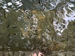 -嘉和K6温泉微度假