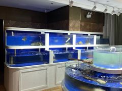 水产区-泰河谷·豆捞