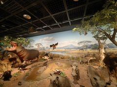 -陕西自然博物馆