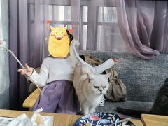 -有猫儿腻咖啡厅.猫咖