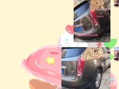 -鲨鱼皮汽车凹陷玻璃修复(静安店)