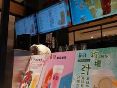 -茶百道(柏威年店)