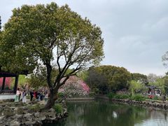 -无锡蠡湖国家湿地公园-蠡园