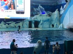 -福州罗源湾海洋世界旅游区