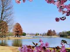 -上海辰山植物园