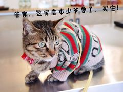 -大青树咖啡(大理古城店)