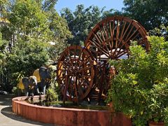 -品德宏·孔雀宴的发源地(金塔园店)