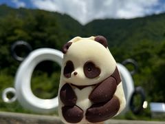 -卧龙中华大熊猫苑神树坪基地