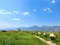 -敕勒川草原文化旅游区