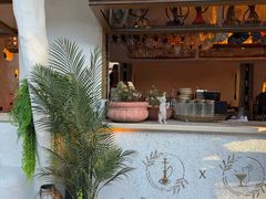 -Sirena海妖日咖夜酒