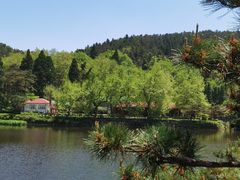 -庐山风景区花径公园