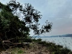 -上海市保健医疗中心