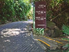 -亚龙湾热带天堂森林公园