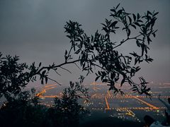 -北京西山国家森林公园