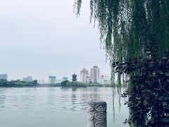 -迎泽公园