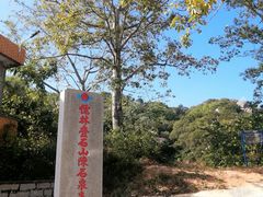 -丹樱生态园