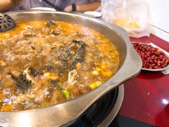 -马街老字号罗非鱼庄(昙华寺店)