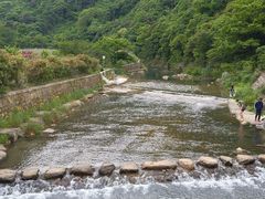 -北仑森林植物园