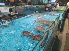 -三亚火车头万人海鲜广场