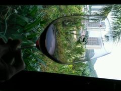 android_upload_pic-广州花都木莲庄酒店