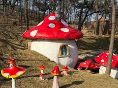 -沂蒙山旅游区云蒙景区(蒙山国家森林公园)