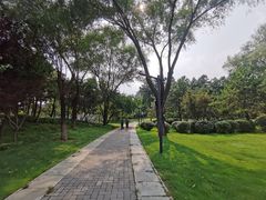 -北坞公园