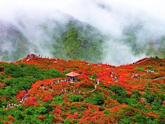 -大围山国家森林公园