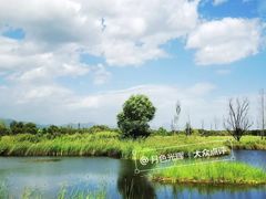 -野鸭湖国家湿地公园