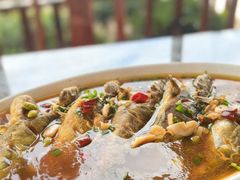 -呼吸森林·生态农庄农家乐私房菜