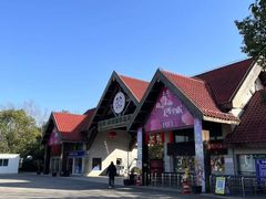 -上海海湾国家森林公园