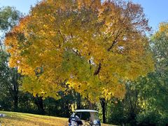 -万柳高尔夫俱乐部