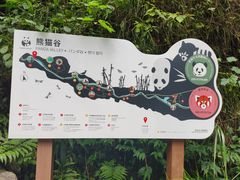-都江堰中华大熊猫苑