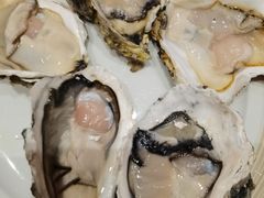 -广州天河合景福朋喜来登酒店