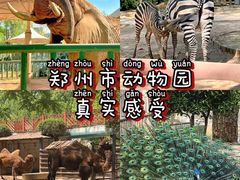 -郑州市动物园