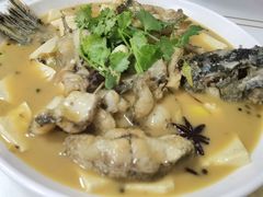 -煲来饱去冷水鱼