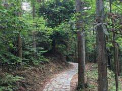 -四明山国家森林公园