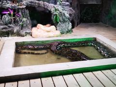 -西安秦岭野生动物园