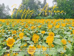 -中国天府农业博览园