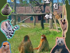 -济南野生动物世界