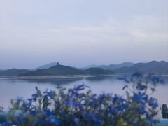 -望湖烤鱼