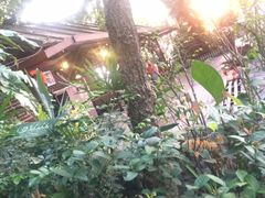 -卷心菜和避孕套餐厅(Pattaya)