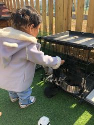 -萌宠亲子动物乐园(槐房万达店)