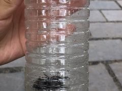 -南通博物苑-崇川人民公园