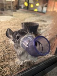 -酷嗒动物文化乐园(cutezoo西溪乐天城店)