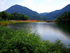 -广州市石门国家森林公园