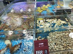 -尊立方海鲜酒店·生日宴·家宴