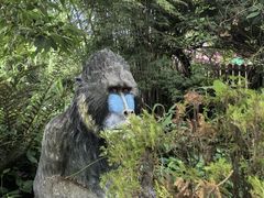 -济州森林小火车生态公园